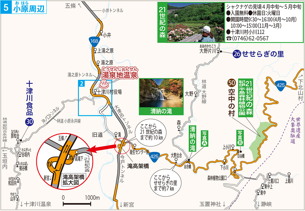 清納の滝地図